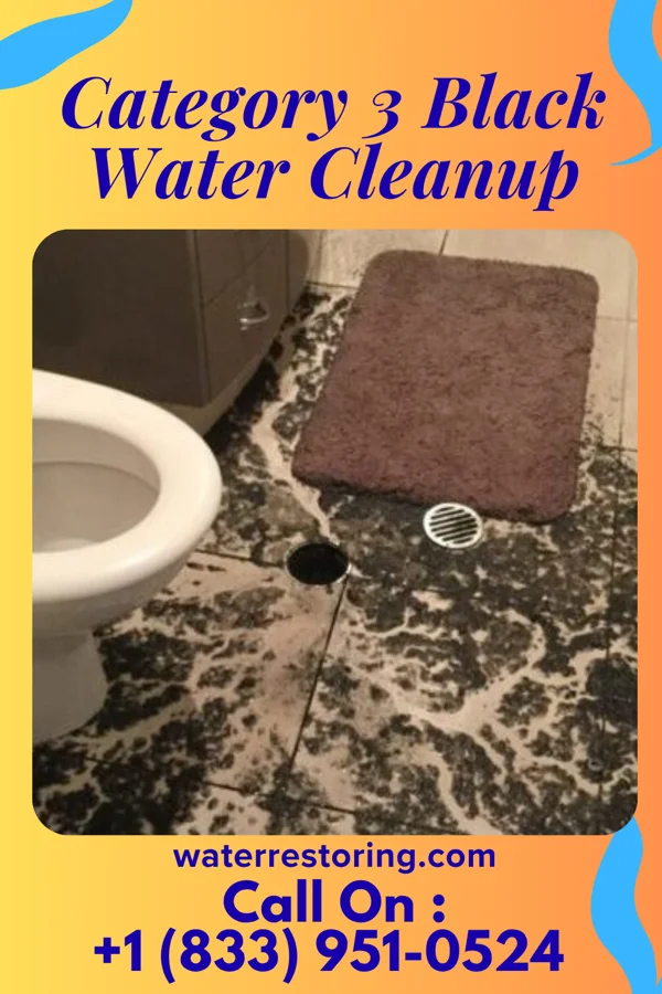 Category 3 Black Water Cleanup in Wilmington, DE