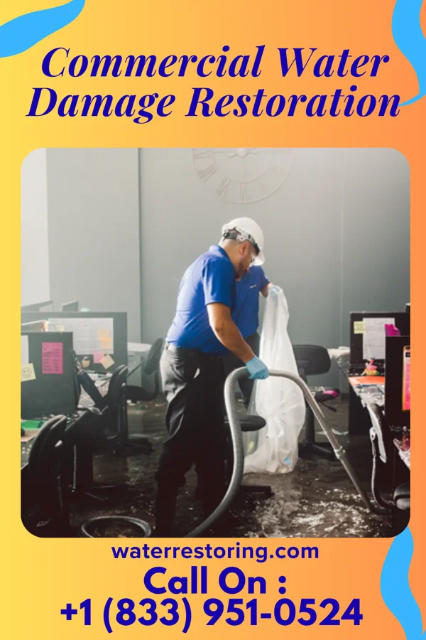 Commercial Water Damage Restoration in Wilmington, DE